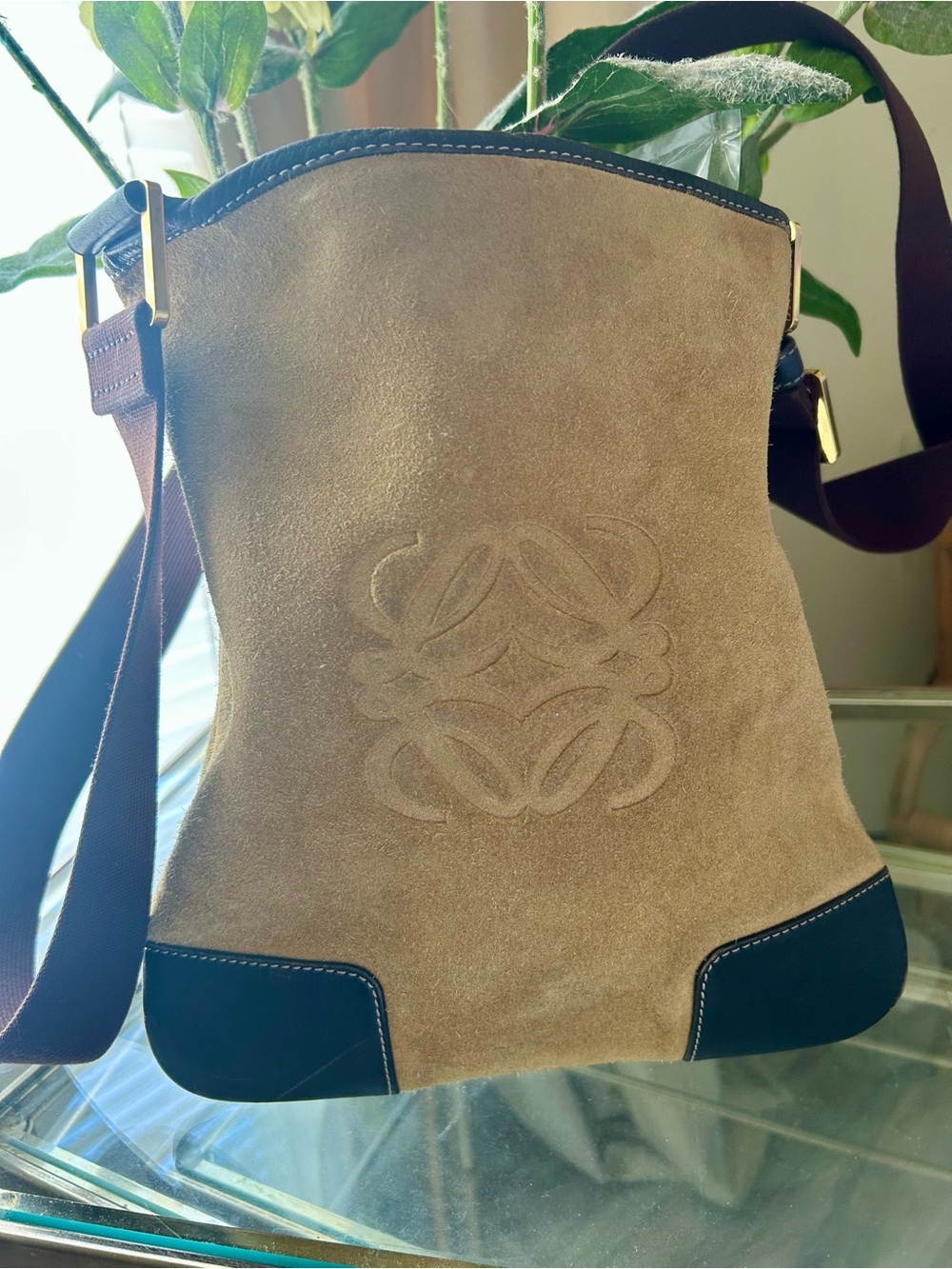 Loewe Suede Crossbody in Tan with Dark Brown Trim